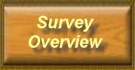Log Tag Survey - Page 1
